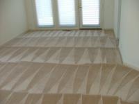Magic Touch Carpet Cleaning of Tampa image 2